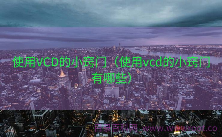 使用VCD的小窍门（使用vcd的小窍门有哪些）
