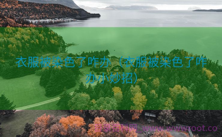 衣服被染色了咋办（衣服被染色了咋办小妙招）