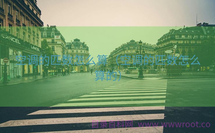 空调的匹数怎么算（空调的匹数怎么算的）