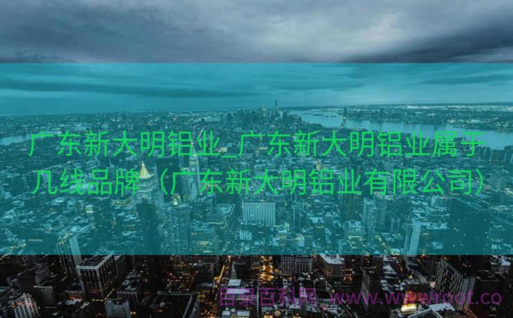 广东新大明铝业_广东新大明铝业属于几线品牌（广东新大明铝业有限公司）