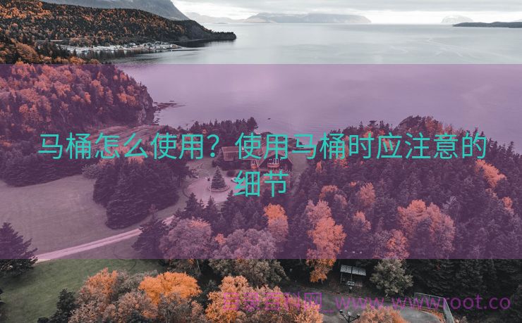 马桶怎么使用？使用马桶时应注意的细节