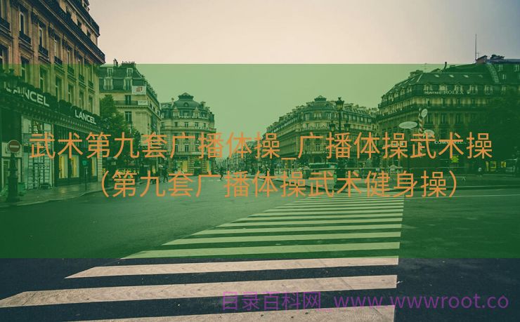 武术第九套广播体操_广播体操武术操（第九套广播体操武术健身操）