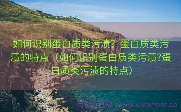 如何识别蛋白质类污渍？蛋白质类污渍的特点（如何识别蛋白质类污渍?蛋白质类污渍的特点）