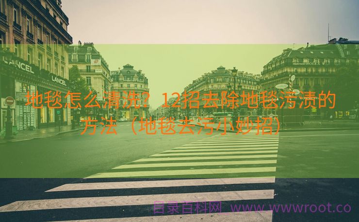 地毯怎么清洗？12招去除地毯污渍的方法（地毯去污小妙招）
