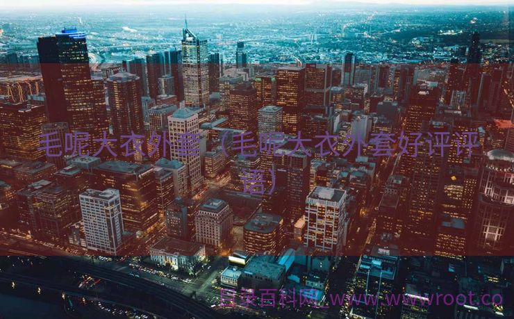 毛呢大衣外套（毛呢大衣外套好评评语）
