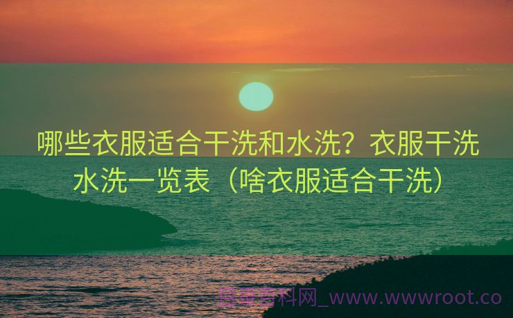 哪些衣服适合干洗和水洗？衣服干洗水洗一览表（啥衣服适合干洗）