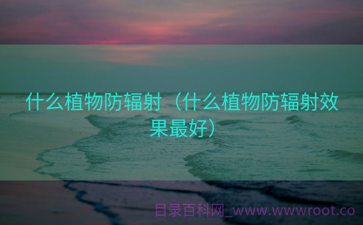 什么植物防辐射（什么植物防辐射效果最好）