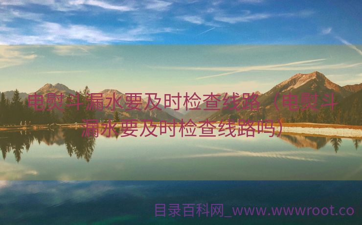电熨斗漏水要及时检查线路（电熨斗漏水要及时检查线路吗）