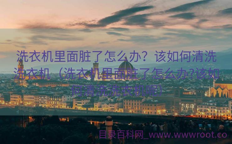 洗衣机里面脏了怎么办？该如何清洗洗衣机（洗衣机里面脏了怎么办?该如何清洗洗衣机呢）