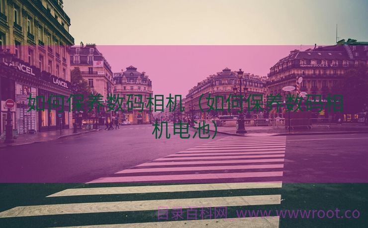 如何保养数码相机（如何保养数码相机电池）
