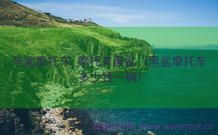 乌鲨摩托车_摩托车黑鲨（黑鲨摩托车多少钱一辆）