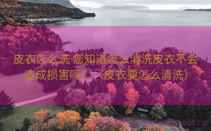 皮衣怎么洗 您知道怎么清洗皮衣不会造成损害吗？（皮衣要怎么清洗）