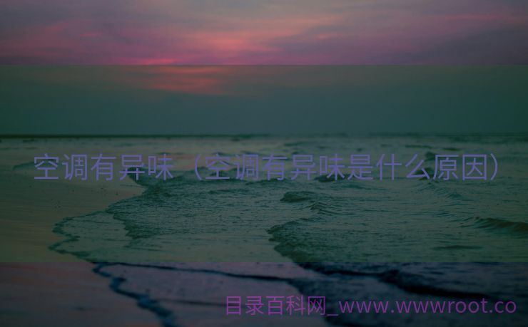 空调有异味（空调有异味是什么原因）