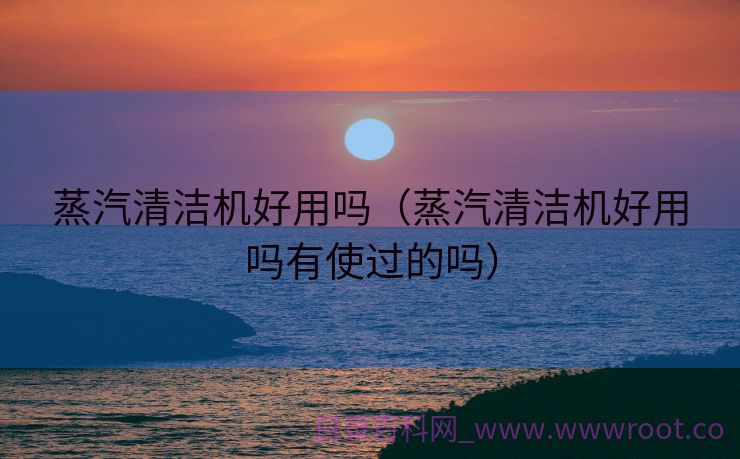 蒸汽清洁机好用吗（蒸汽清洁机好用吗有使过的吗）