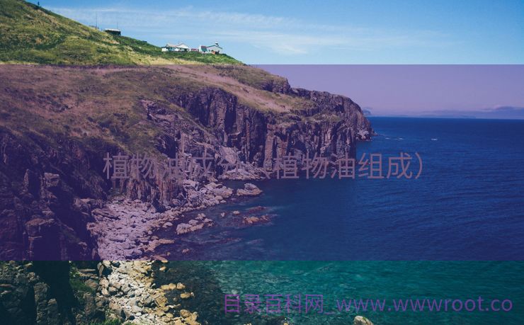 植物油成分（植物油组成）