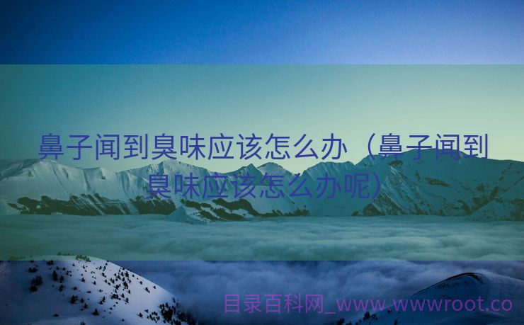 鼻子闻到臭味应该怎么办（鼻子闻到臭味应该怎么办呢）
