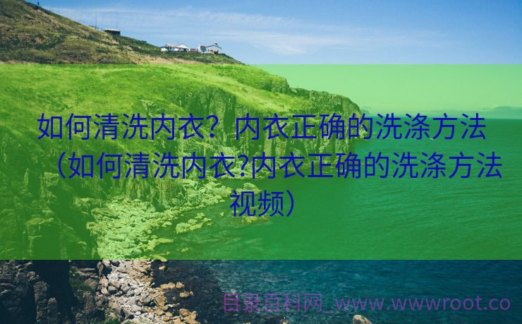 如何清洗内衣？内衣正确的洗涤方法（如何清洗内衣?内衣正确的洗涤方法视频）