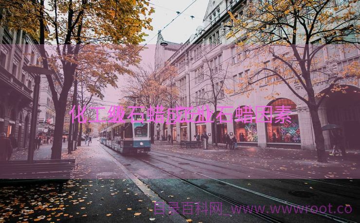 化工级石蜡_工业石蜡因素

（工业石蜡成分）