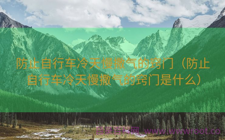 防止自行车冷天慢撒气的窍门（防止自行车冷天慢撒气的窍门是什么）