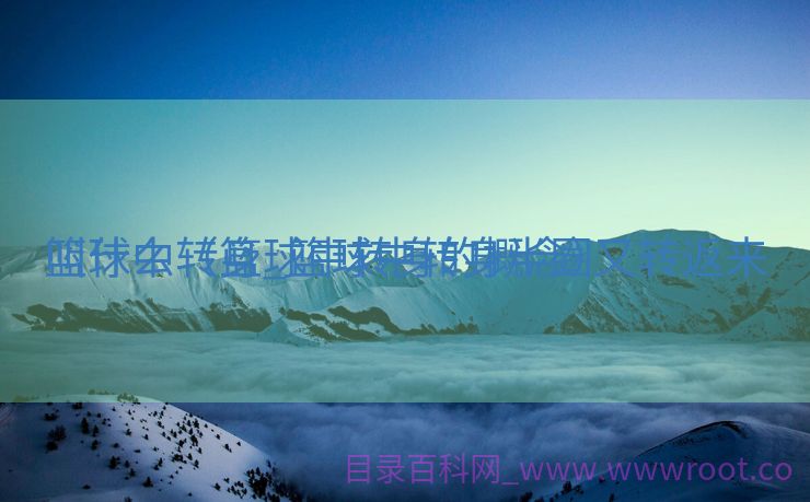 篮球中转身_篮球中转身半圈又转返来
叫什么（篮球中转身的概念）