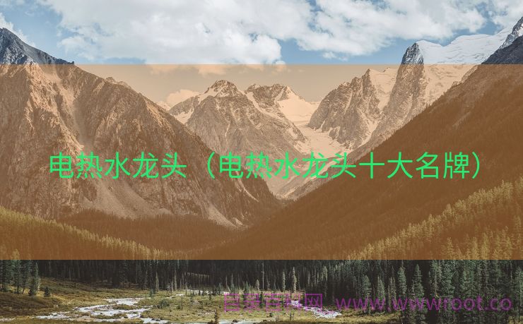 电热水龙头（电热水龙头十大名牌）