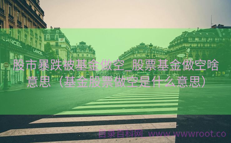 股市暴跌被基金做空_股票基金做空啥意思（基金股票做空是什么意思）