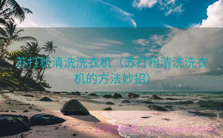 苏打粉清洗洗衣机（苏打粉清洗洗衣机的方法妙招）