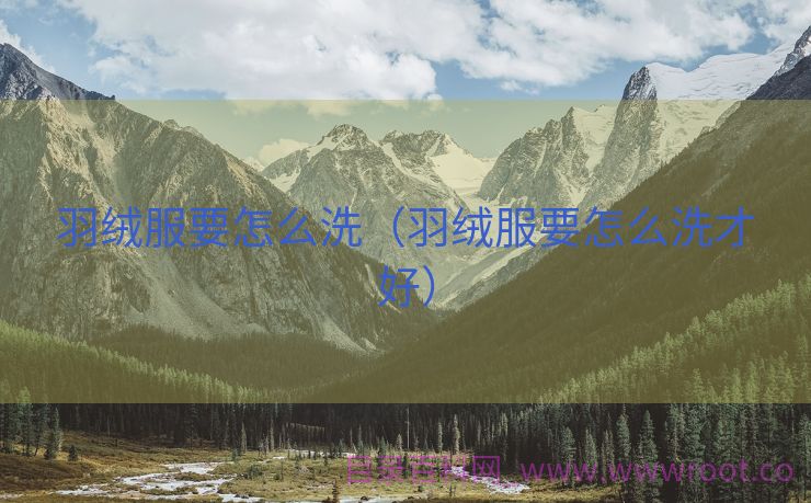 羽绒服要怎么洗（羽绒服要怎么洗才好）