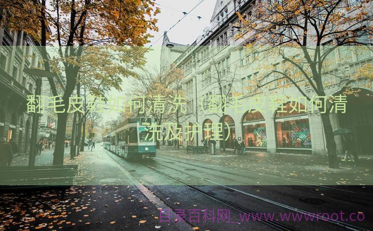 翻毛皮鞋如何清洗（翻毛皮鞋如何清洗及护理）