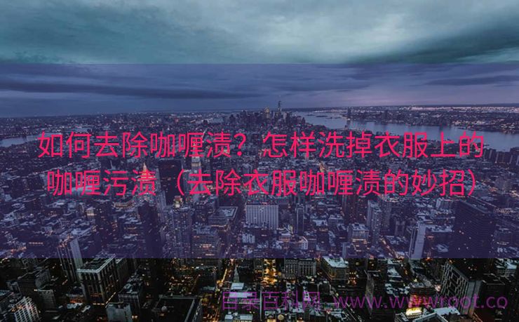 如何去除咖喱渍？怎样洗掉衣服上的咖喱污渍（去除衣服咖喱渍的妙招）