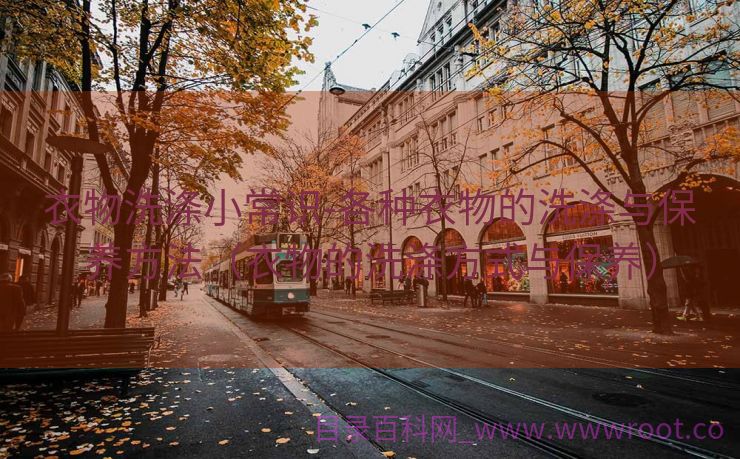 衣物洗涤小常识-各种衣物的洗涤与保养方法（衣物的洗涤方式与保养）