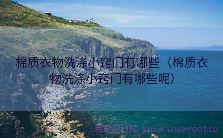 棉质衣物洗涤小窍门有哪些（棉质衣物洗涤小窍门有哪些呢）