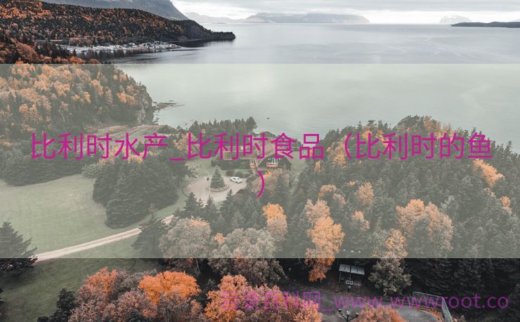 比利时水产_比利时食品（比利时的鱼）