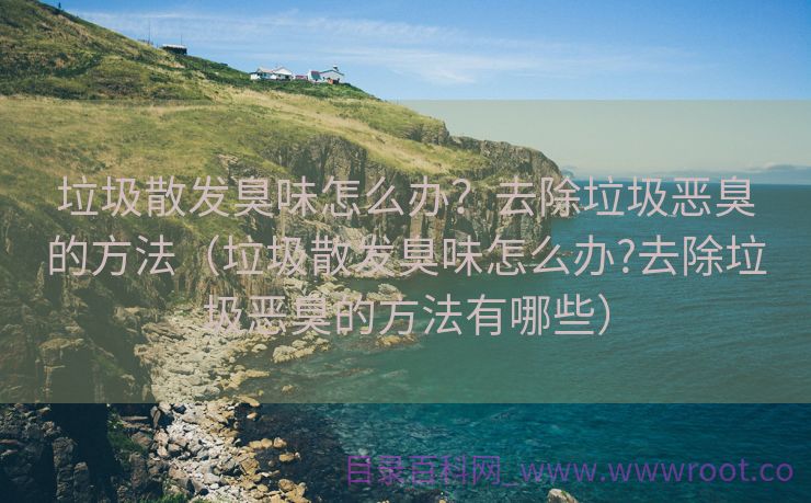 垃圾散发臭味怎么办？去除垃圾恶臭的方法（垃圾散发臭味怎么办?去除垃圾恶臭的方法有哪些）