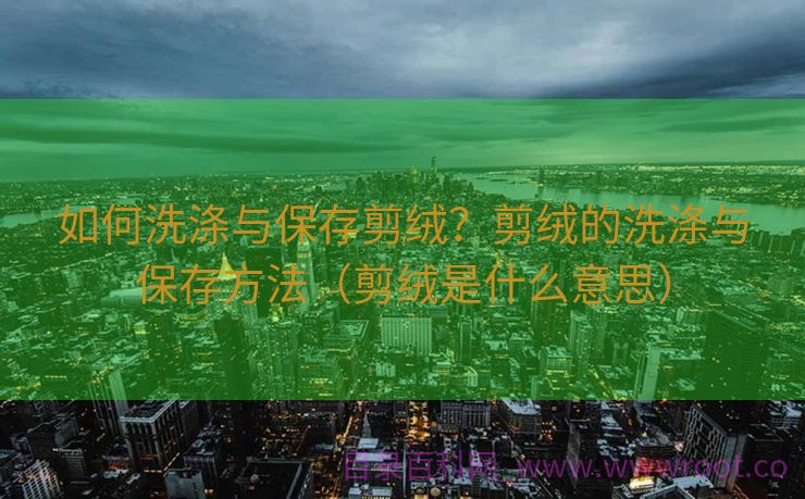 如何洗涤与保存剪绒？剪绒的洗涤与保存方法（剪绒是什么意思）