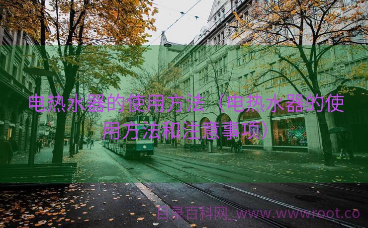 电热水器的使用方法（电热水器的使用方法和注意事项）