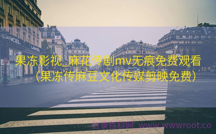 果冻影视_麻花传剧mv无痕免费观看（果冻传麻豆文化传媒剪映免费）