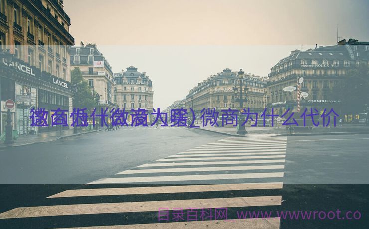 微商为什么没人买_微商为什么代价
这么低（微商为啥）