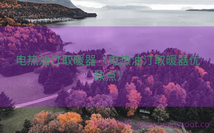电热油汀取暖器（电热油汀取暖器优缺点）