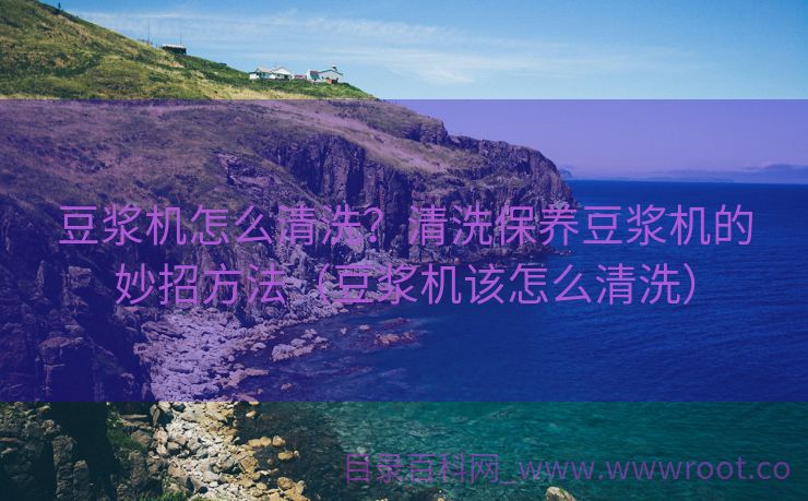 豆浆机怎么清洗？清洗保养豆浆机的妙招方法（豆浆机该怎么清洗）