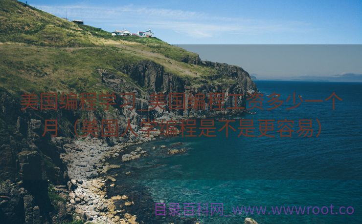 美国编程学习_美国编程工资多少一个月（美国人学编程是不是更容易）