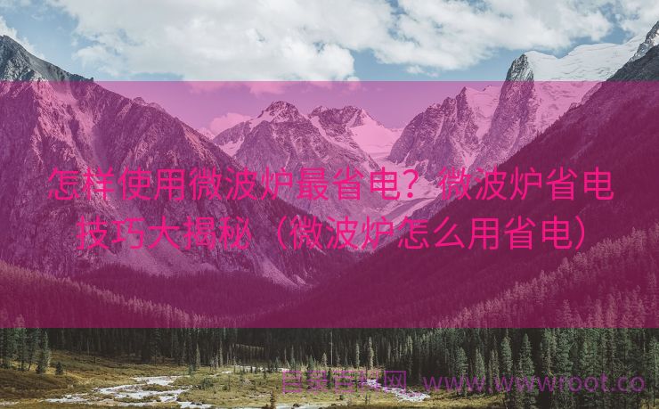 怎样使用微波炉最省电？微波炉省电技巧大揭秘（微波炉怎么用省电）
