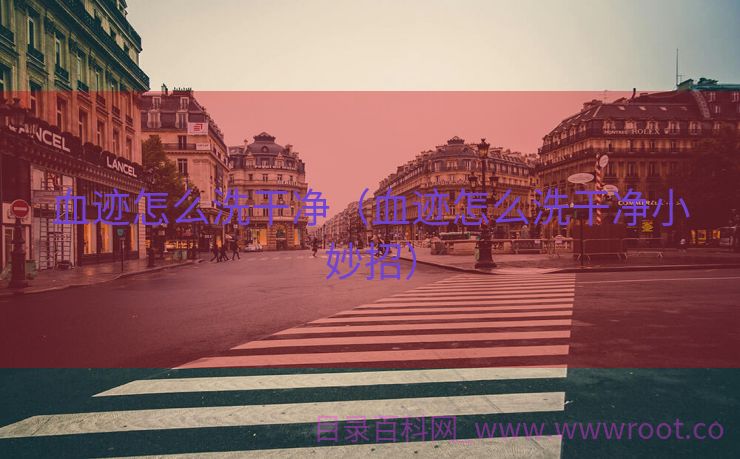 血迹怎么洗干净（血迹怎么洗干净小妙招）