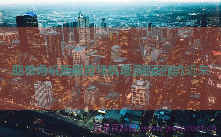 亚布力机场招投标信息_离亚布力近来
的机场（亚布力飞机场是否还建）