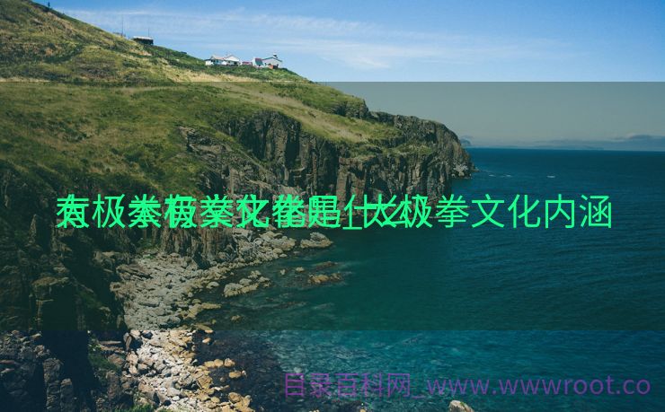 太极拳有文化拳吗_太极拳文化内涵

有（太极拳文化是什么）