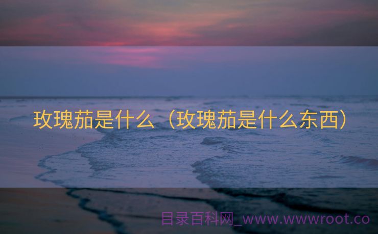 玫瑰茄是什么（玫瑰茄是什么东西）