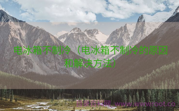 电冰箱不制冷（电冰箱不制冷的原因和解决方法）