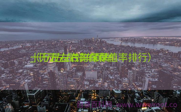 十万左右汽车保举
_十万左右好车保举
（十万左右的车保值率排行）