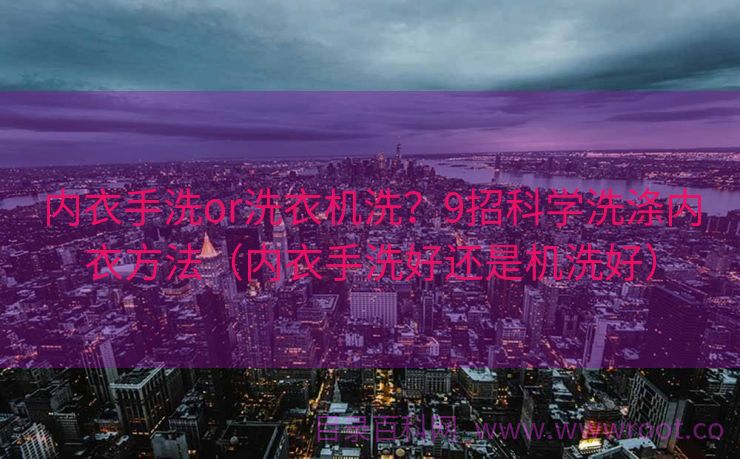 内衣手洗or洗衣机洗？9招科学洗涤内衣方法（内衣手洗好还是机洗好）