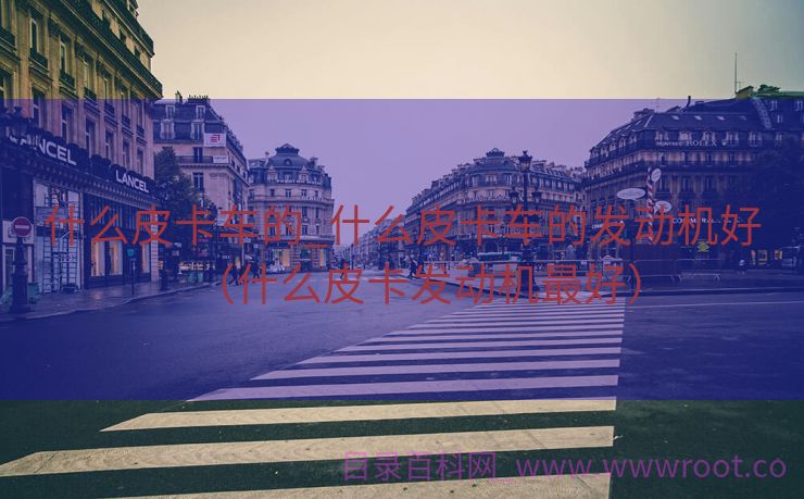什么皮卡车的_什么皮卡车的发动机好（什么皮卡发动机最好）